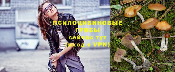 спайс Майский