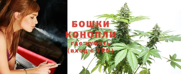 спайс Майский