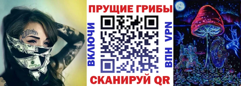Псилоцибиновые грибы Psilocybe  Лиски 