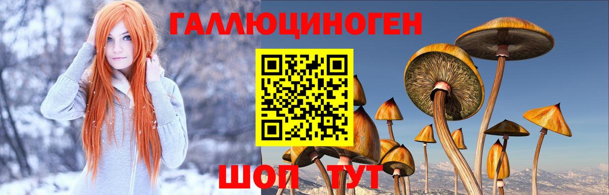 Галлюциногенные грибы MAGIC MUSHROOMS  Вход с VPN  Лиски 